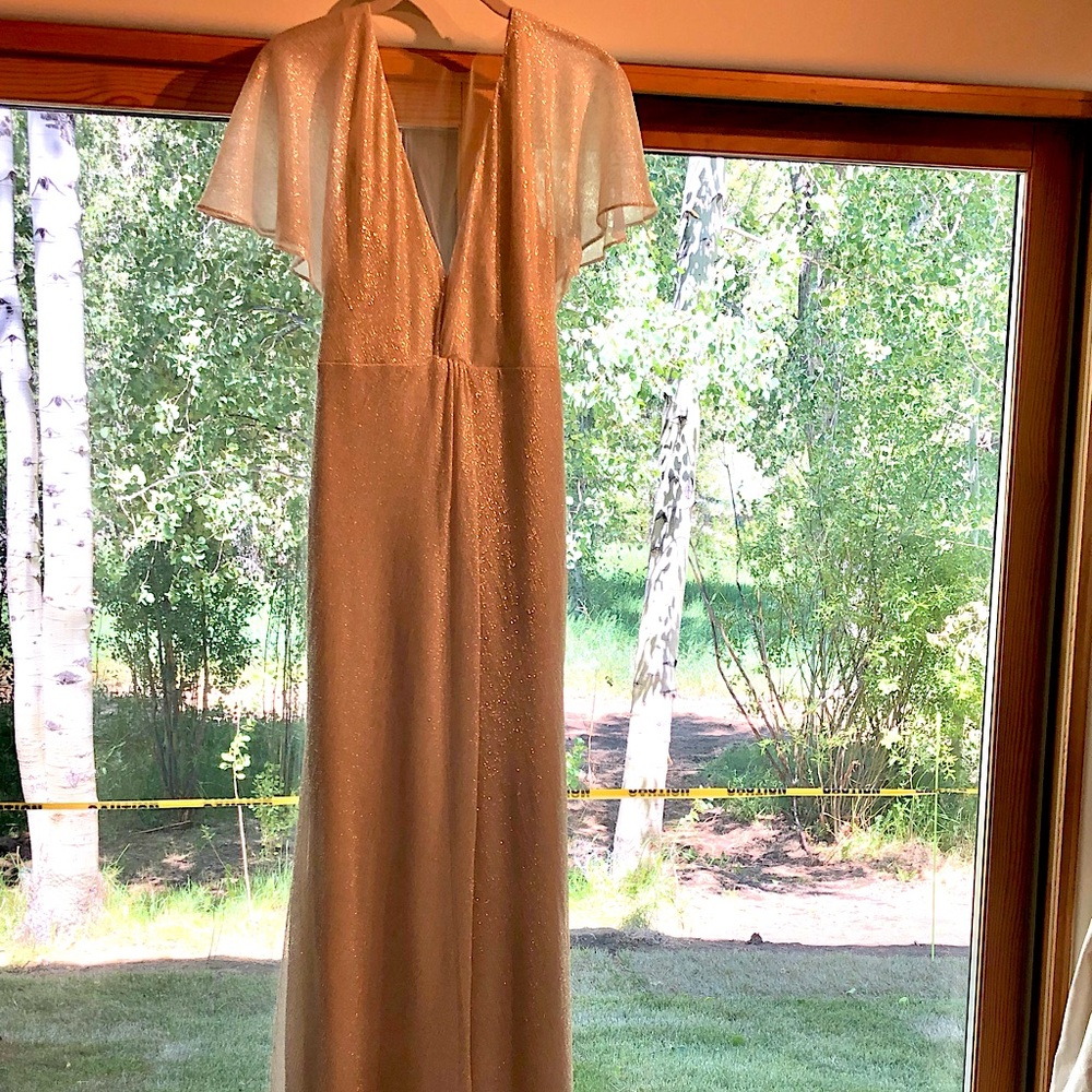 Jenny Yoo Chambers Dress